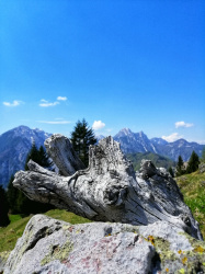 Planina Korošica