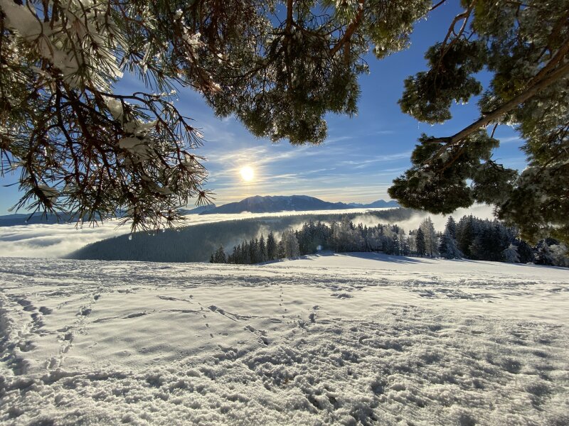 Cerkev sv. Urh Strojna