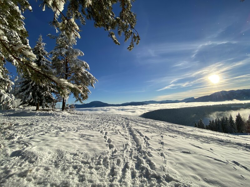 Cerkev sv. Urh Strojna