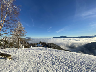 Cerkev sv. Urh Strojna