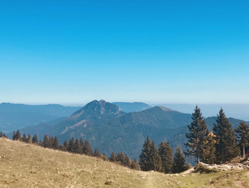 Koritni vrh (Velika planina)
