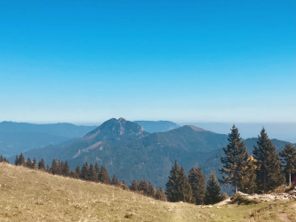 Koritni vrh (Velika planina)