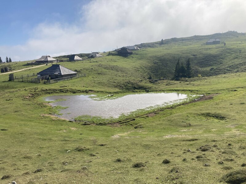 Koritni vrh (Velika planina)