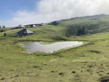Koritni vrh (Velika planina)