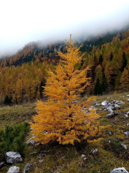Planina Konjščica