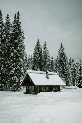 Javorov vrh (Pokljuka)