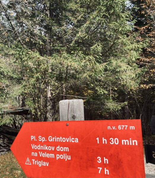 Planina Zgornja Grintovica