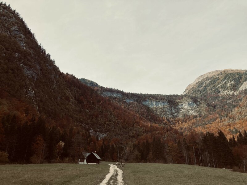 Planina Zgornja Grintovica