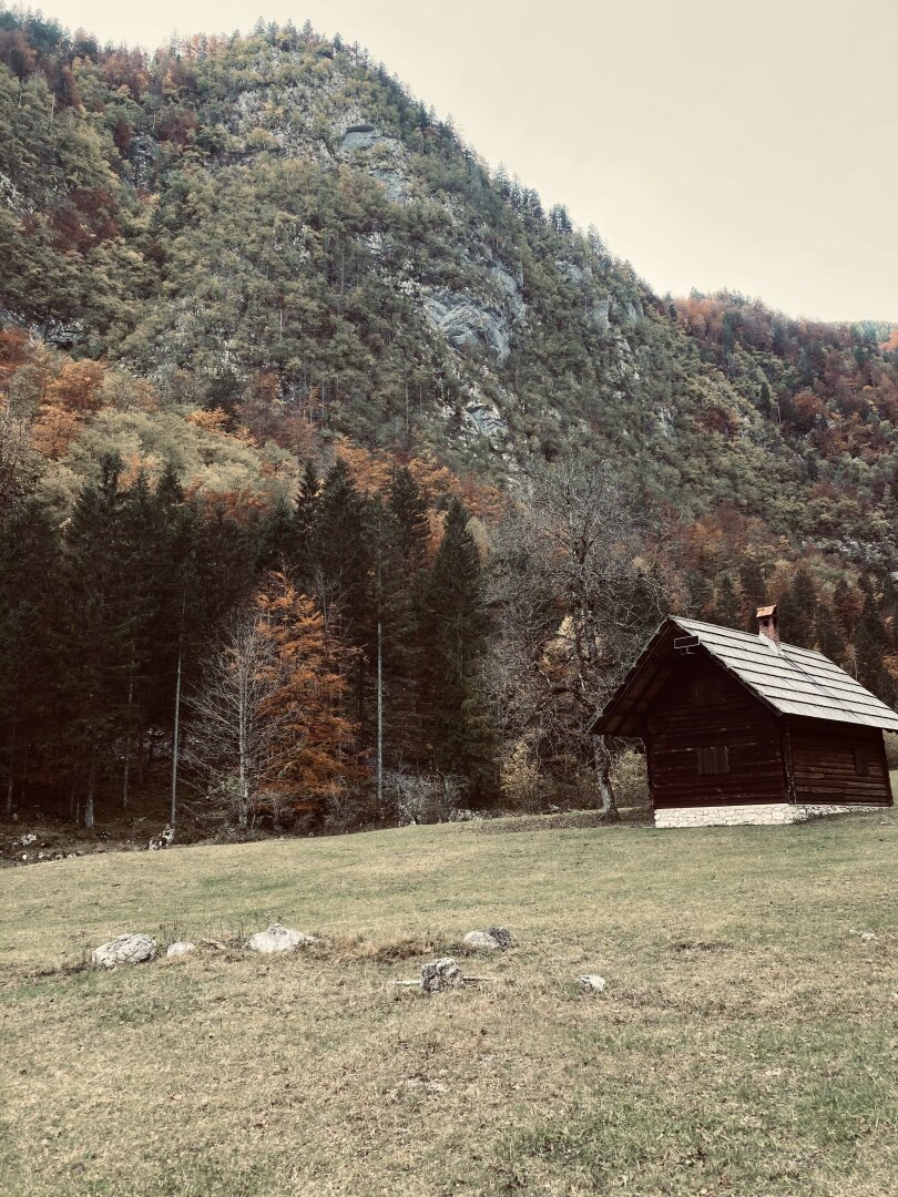 Planina Zgornja Grintovica