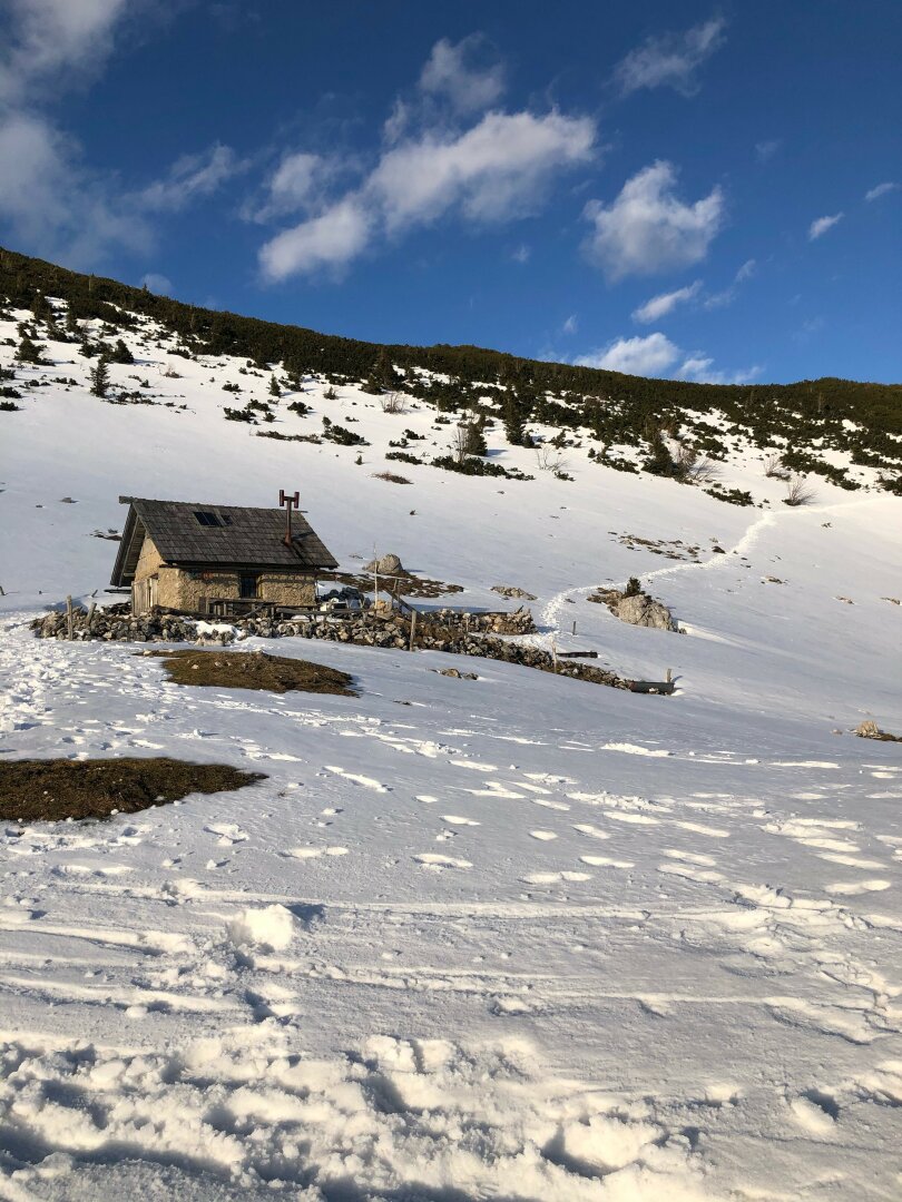 Planina Košutna