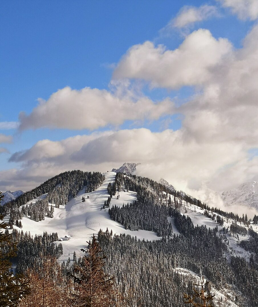 Veliki Javornik (Ženiklovec)