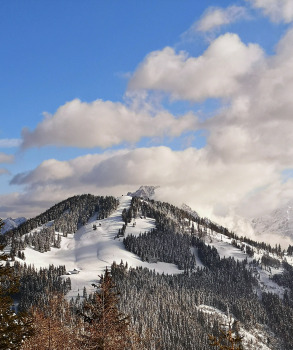 Veliki Javornik (Ženiklovec)