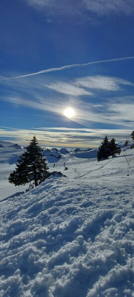 Kapela Marije Snežne na Veliki planini