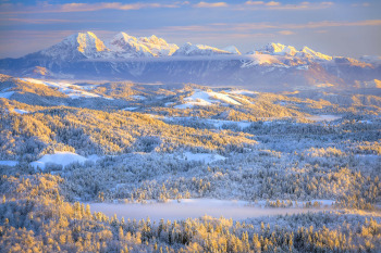 Javornik nad Črnim Vrhom