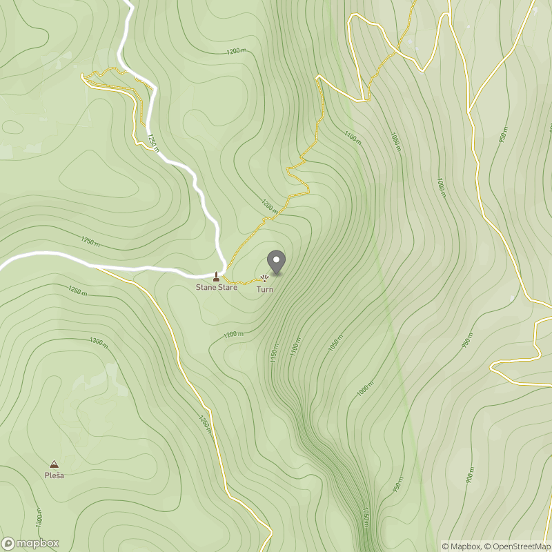 Turn (nad Bohinjsko Belo) zemljevid