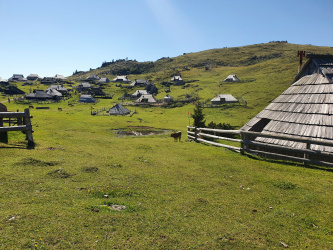 Gradišče (Velika planina)