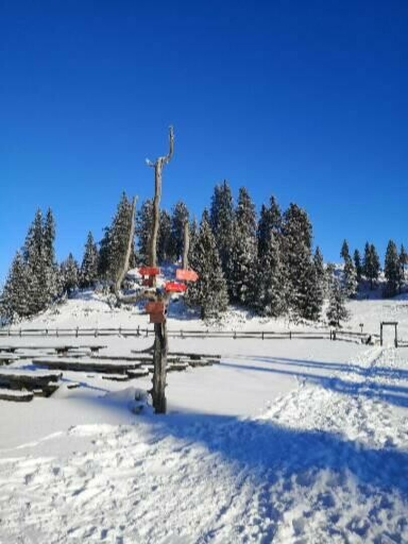 Dom na Menini planini 