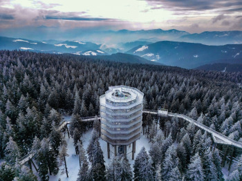 Pot med krošnjami Pohorje na Rogli