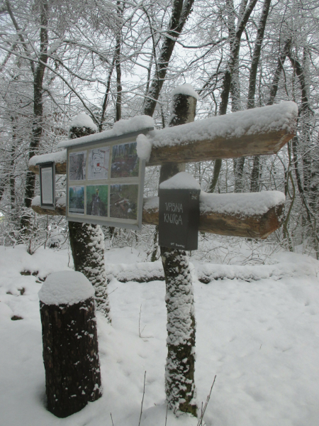 Razvaline gradu Kamen