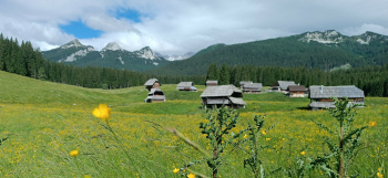 Planina Zajavornik