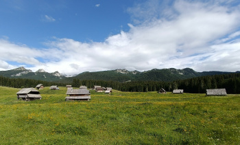 Planina Zajavornik