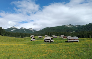 Planina Zajavornik