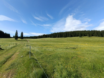Planina Zajavornik