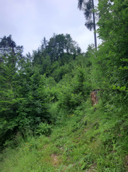 Mali Juhej