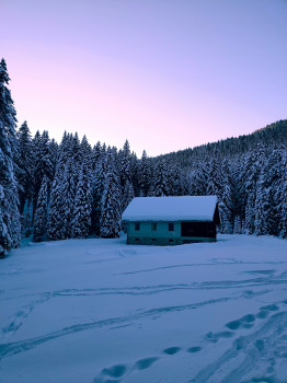 Javorov vrh (Pokljuka)