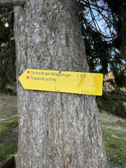 Blekova planina