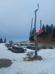 Dom na Menini planini 