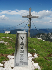 Vajnež