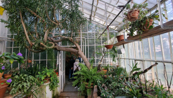 Mestni park pri Starem gradu