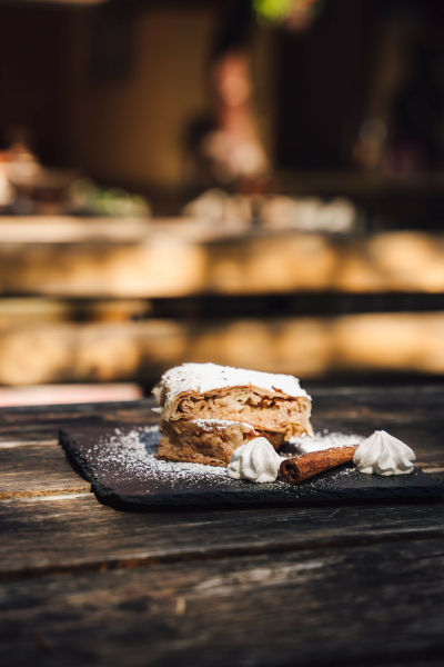 Mengeška koča na Gobavici