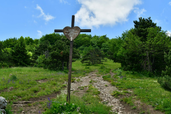 Sveti Lovrenc