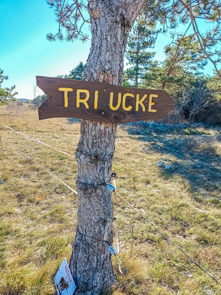 Tri učke