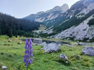 Dupeljsko jezero