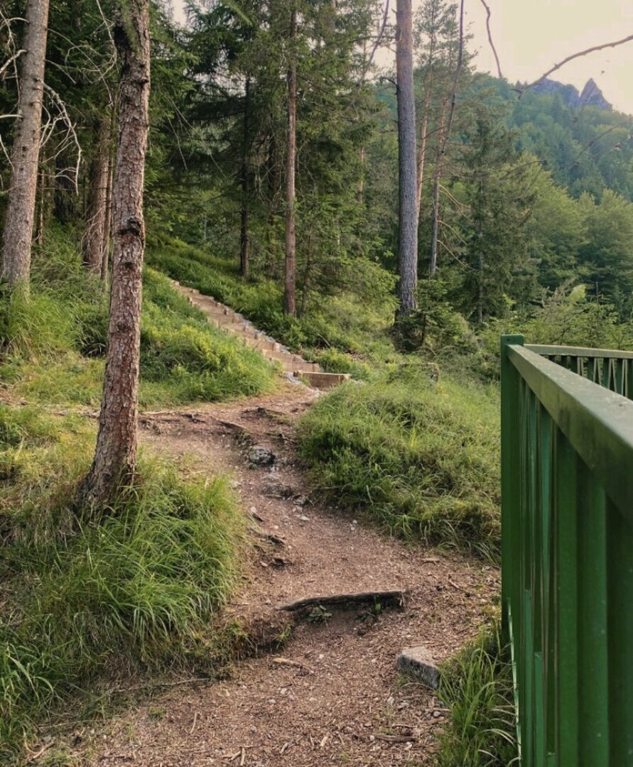Razgledna točka nad jezerom Jasna