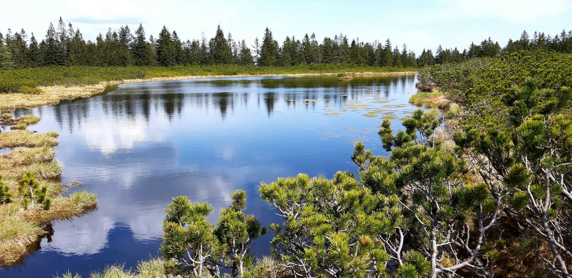 Ribniško Jezero: Pohorje's Hidden Peat-Bog Lake (Hiking Guide) 2 Ribniško jezero | Kam za vikend