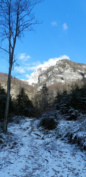 Dolina kamniške Bele