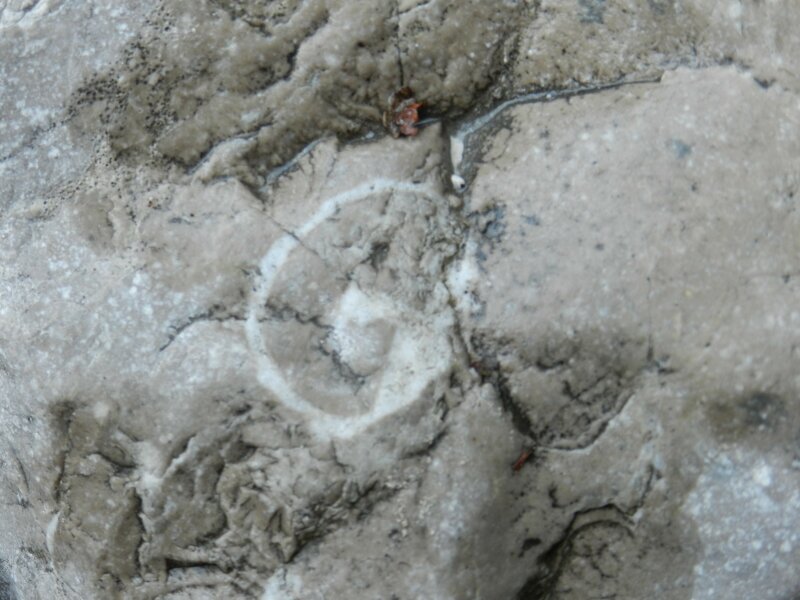 Dolina kamniške Bele