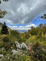 Orožnova koča na planini Za Liscem pod Črno prstjo 