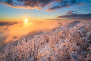 Javornik nad Črnim Vrhom