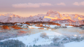 Javornik nad Črnim Vrhom